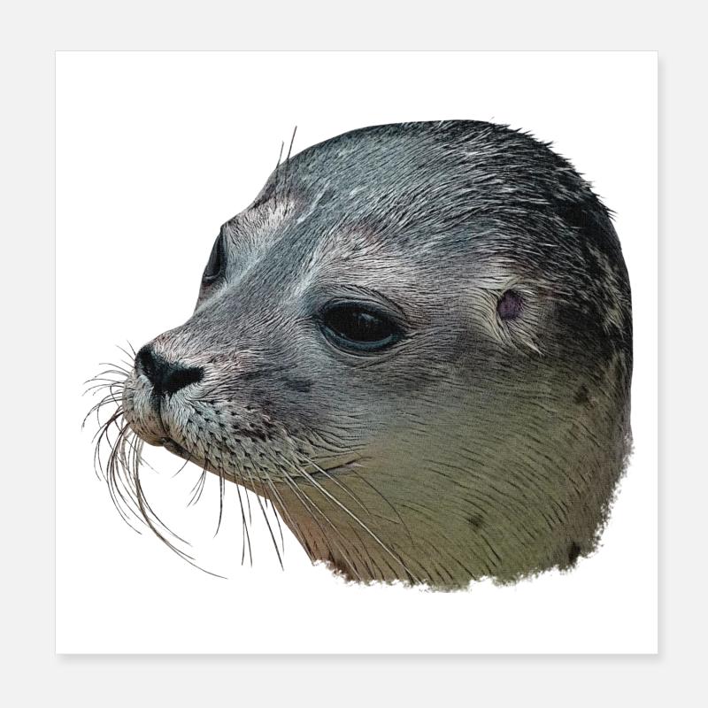 Canvas look seal head, designs for bathroom Poster 8" x 8" (20x20 cm)
