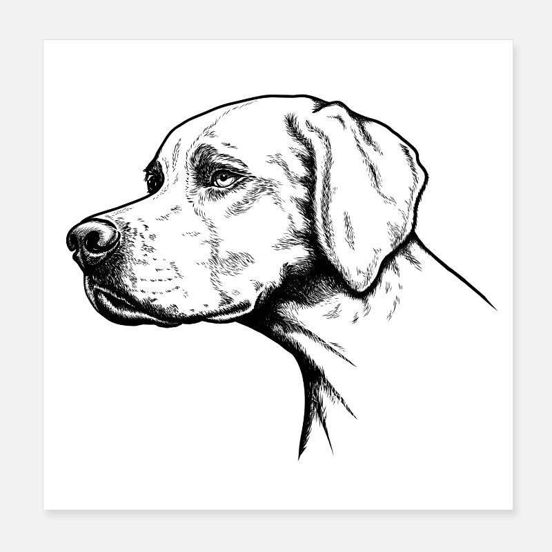 Pointer Portrait Poster 20 x 20 cm