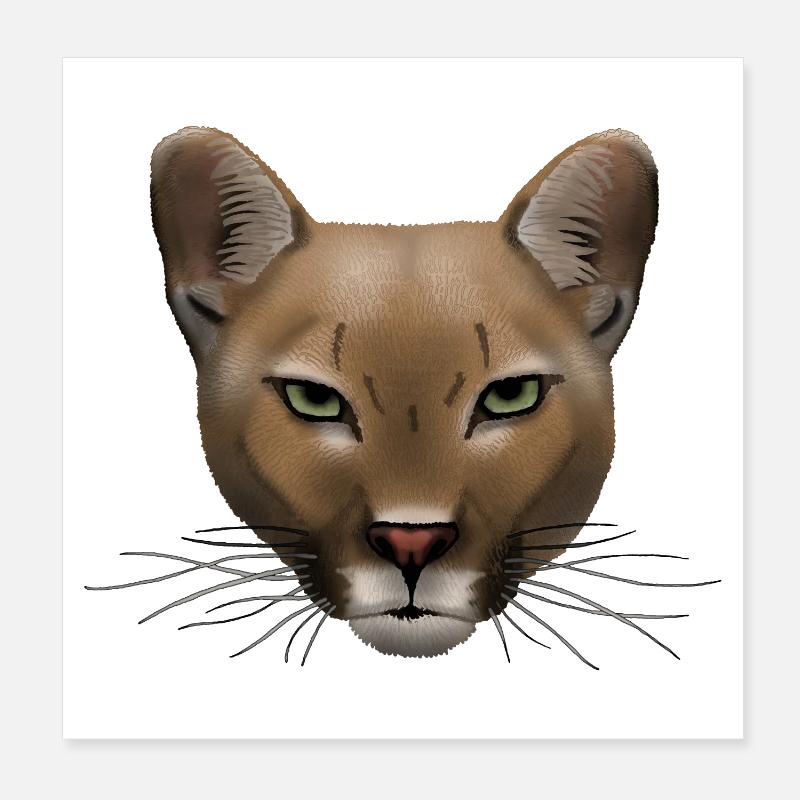 Cougar R6Z Poster 20x20 cm