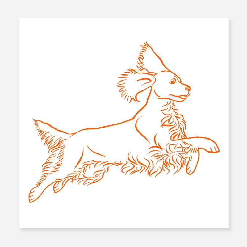 Springer Spaniel en orange Poster 20 x 20 cm