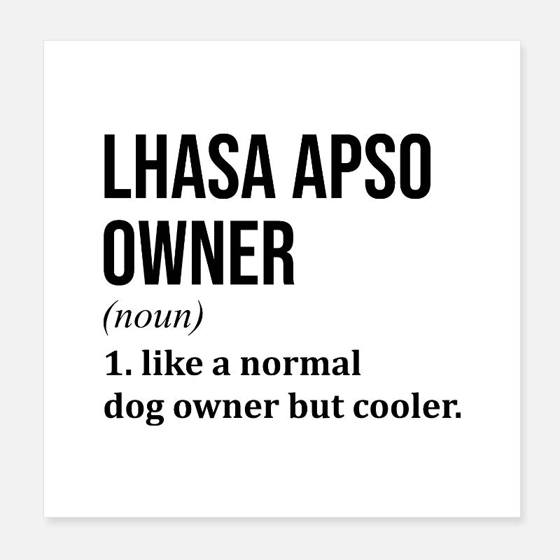 Lhasa Apso Poster 20x20 cm