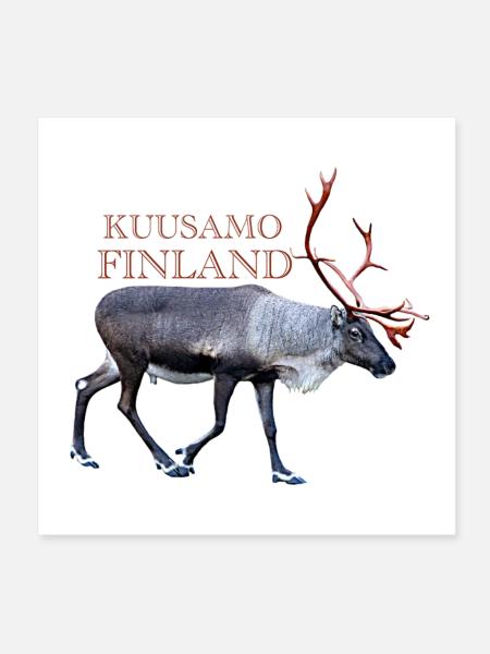 Kuusamo - Poster 20x20 cm - Weiß