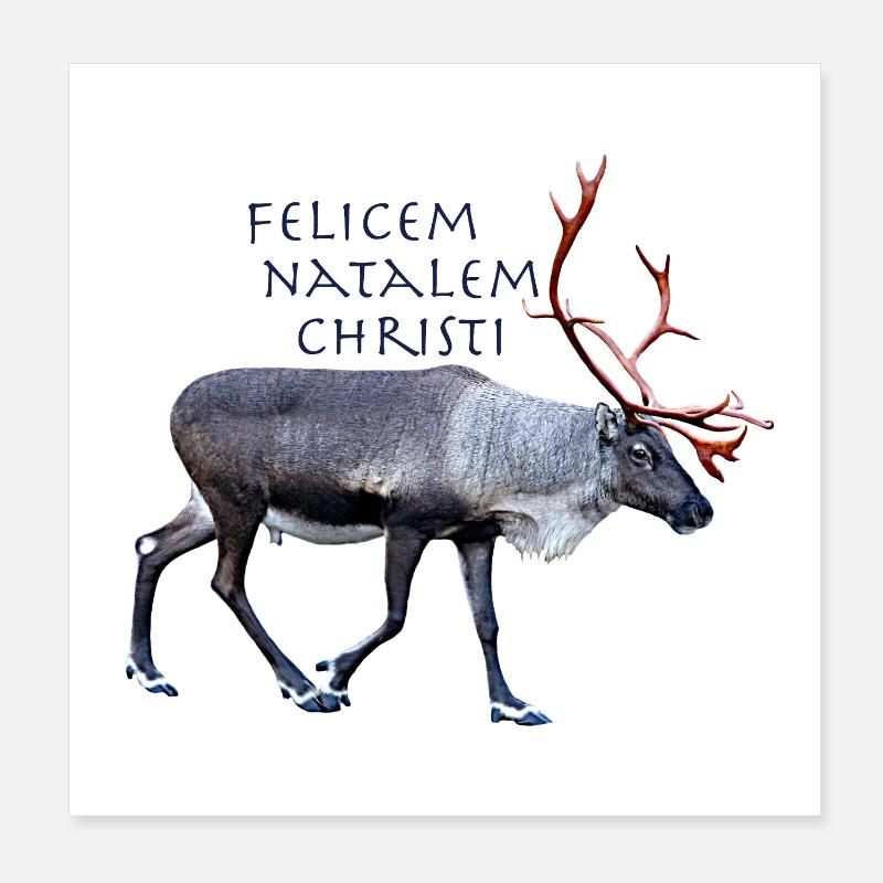 Felisem Natalem Christi Poster 8" x 8" (20x20 cm)