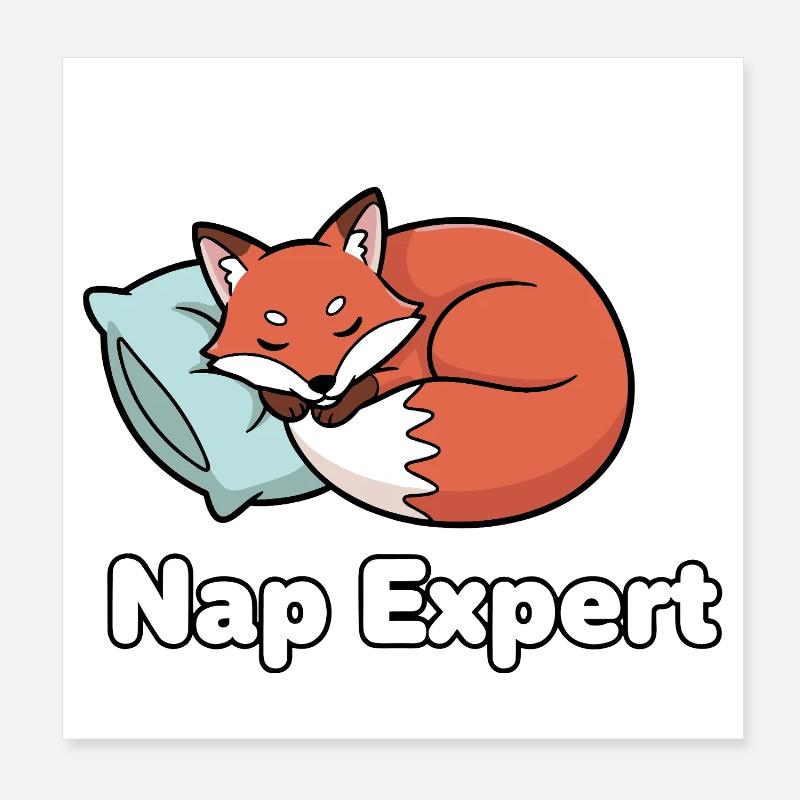 Expert en sieste Fuchs Poster 20 x 20 cm