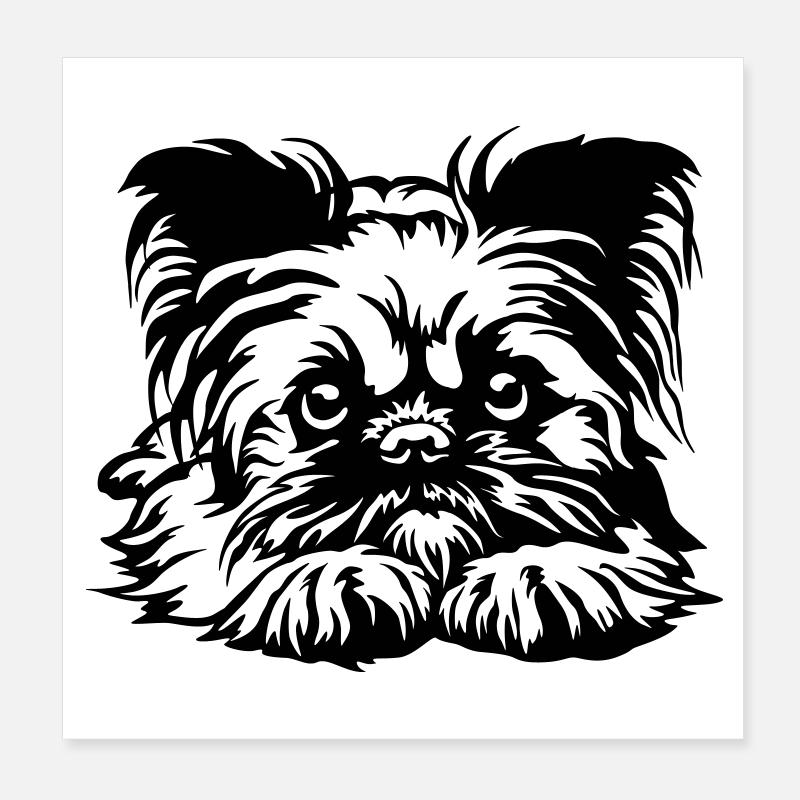 Brüsseler Griffon Kopf Poster 20x20 cm