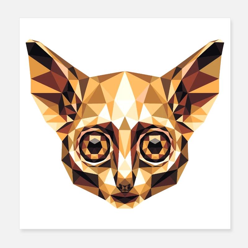 Galago Buschbaby Affen Galagos Affe Süßer Galago Poster 20x20 cm