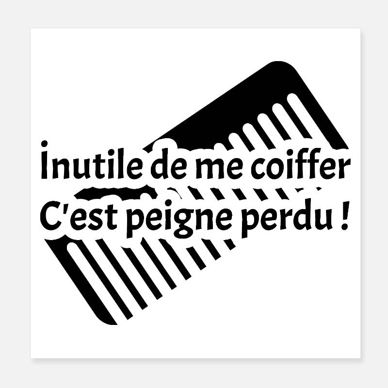 INUTILE DE ME COIFFER C'EST PEIGNE PERDU !  Poster 20 x 20 cm