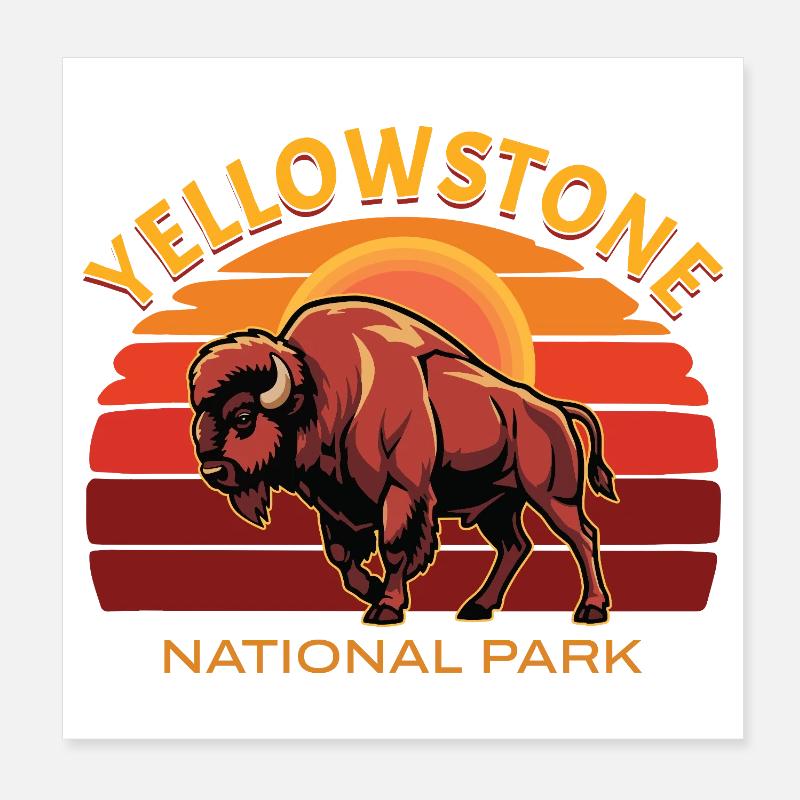 Bisons de buffle du parc national de Yellowstone Poster 20 x 20 cm