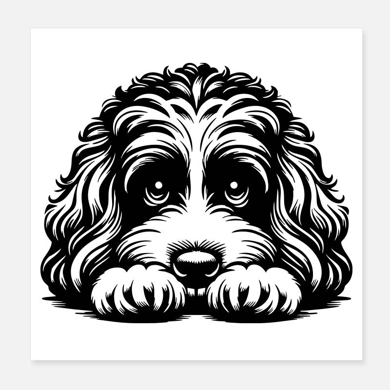 Tête de Cavapoo avec pattes Poster 20 x 20 cm