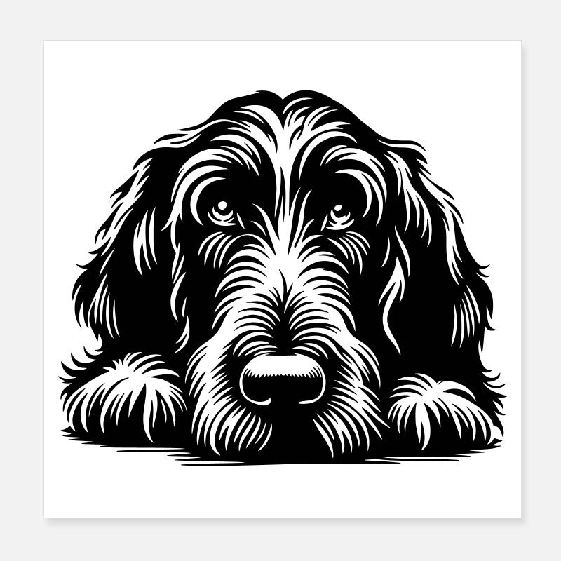 Spinone Italiano Kopf mit Pfoten Poster 20x20 cm