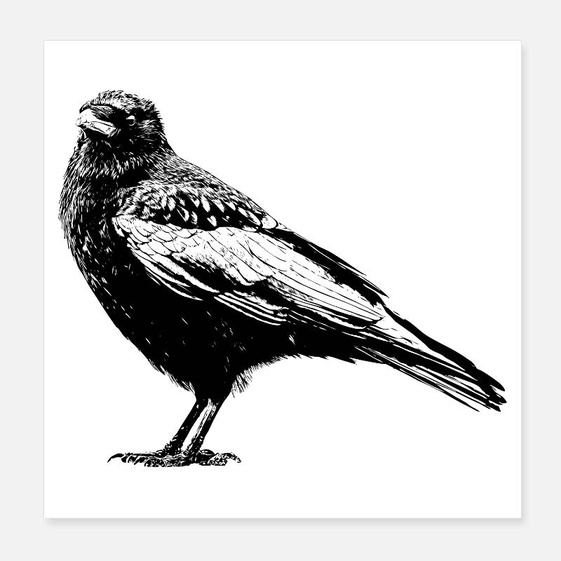 Corbeau Poster 20 x 20 cm