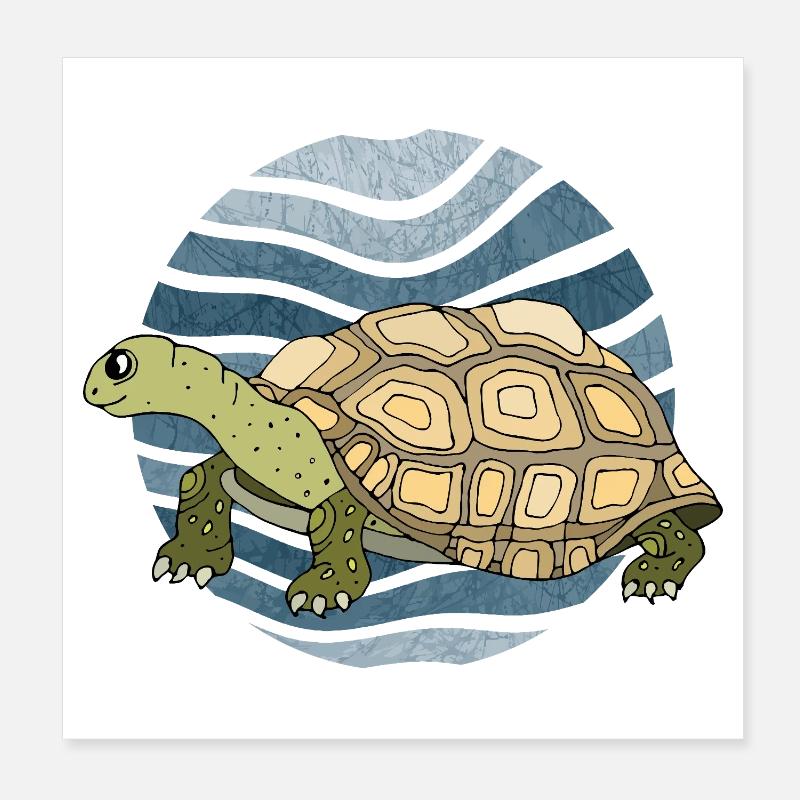 Schildkröte Poster 20x20 cm