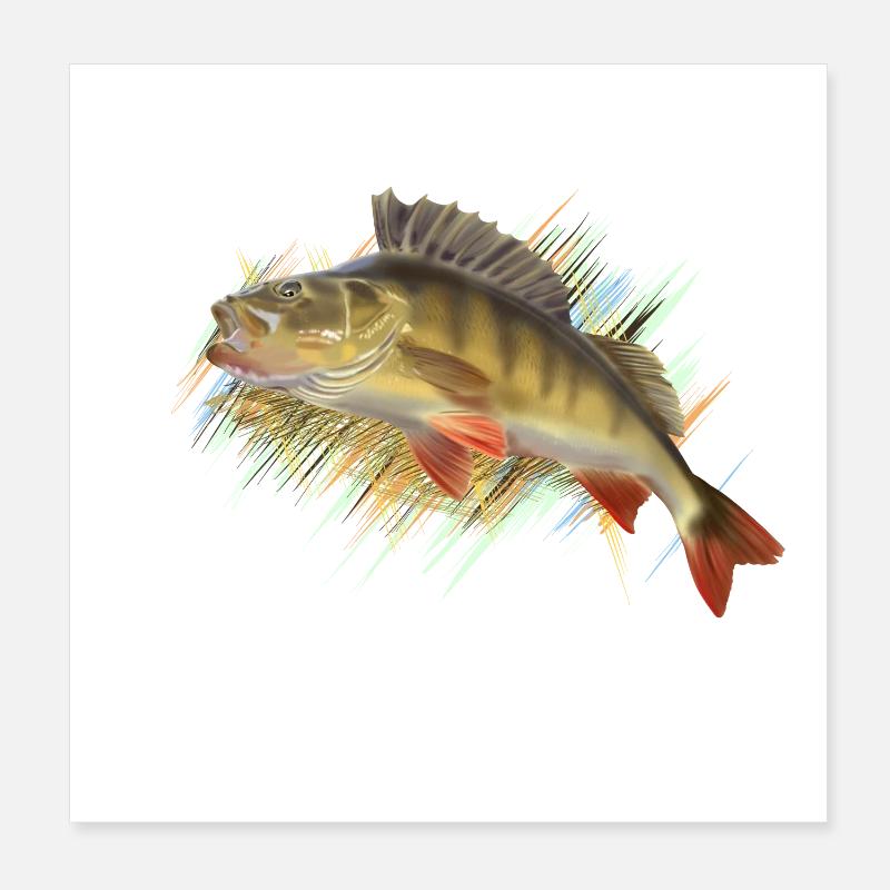 Perch Poster 20 x 20 cm