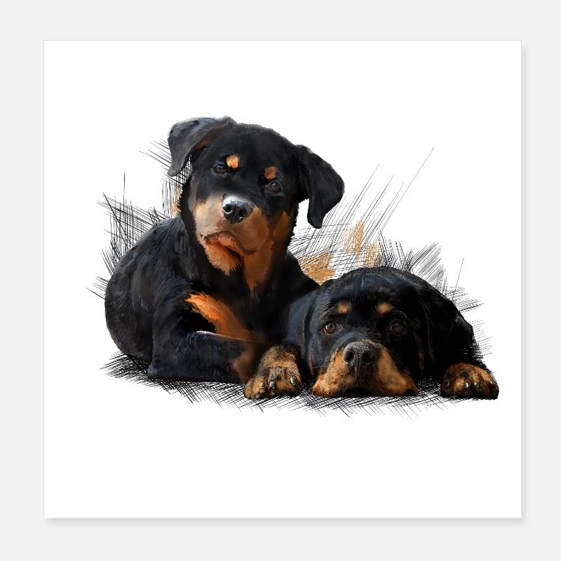 Welpen Poster 20x20 cm