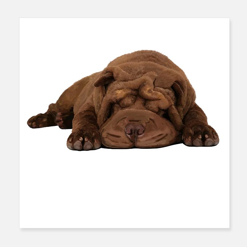 Shar-Pei Poster 20 x 20 cm