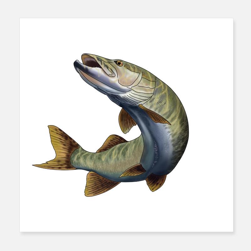 Hecht Poster 20x20 cm