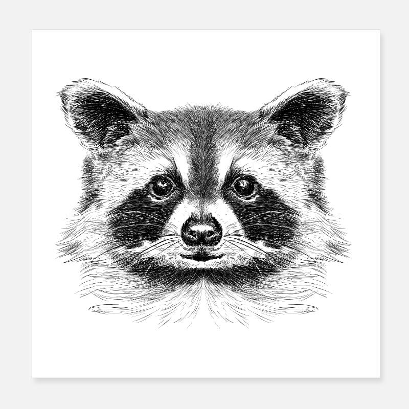 Racoon Poster 8" x 8" (20x20 cm)