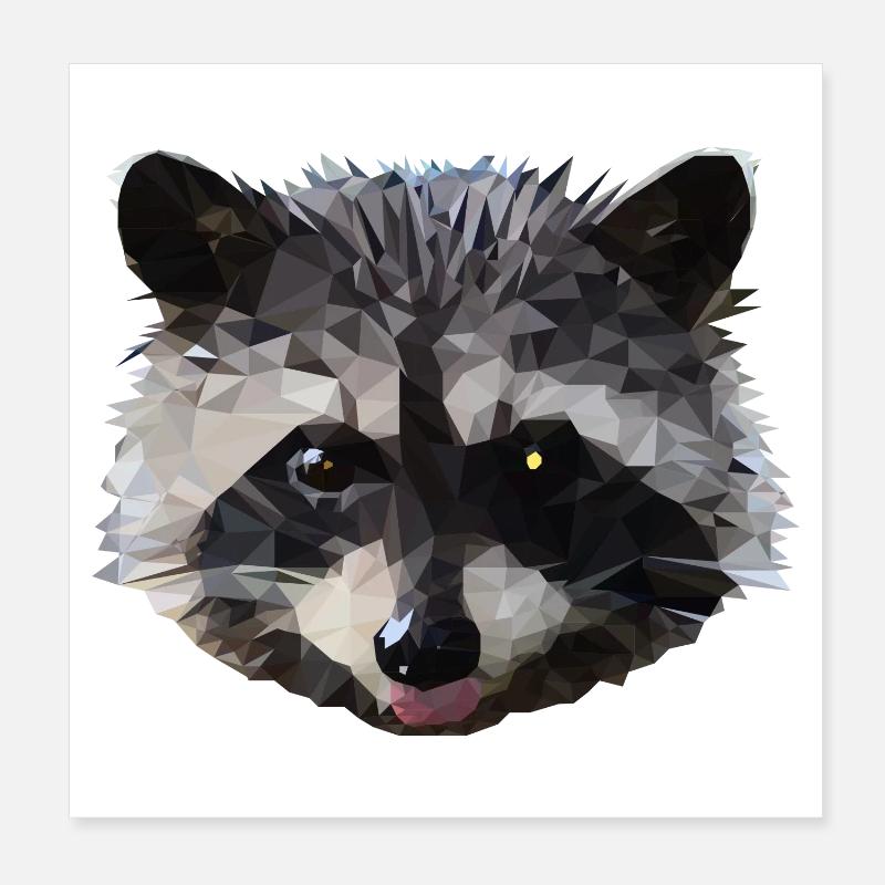 Waschbär, Raubtier, Wildtier, Polygon Poster 20x20 cm