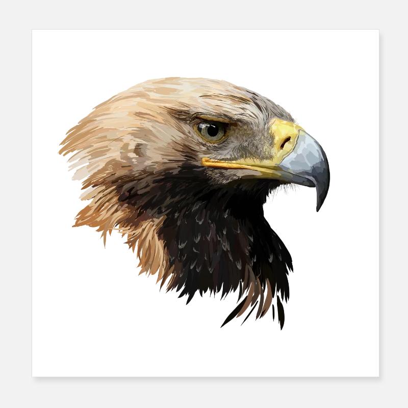 Adler Poster 20x20 cm