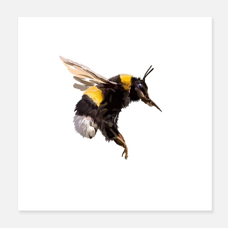 Hummel Poster 20x20 cm