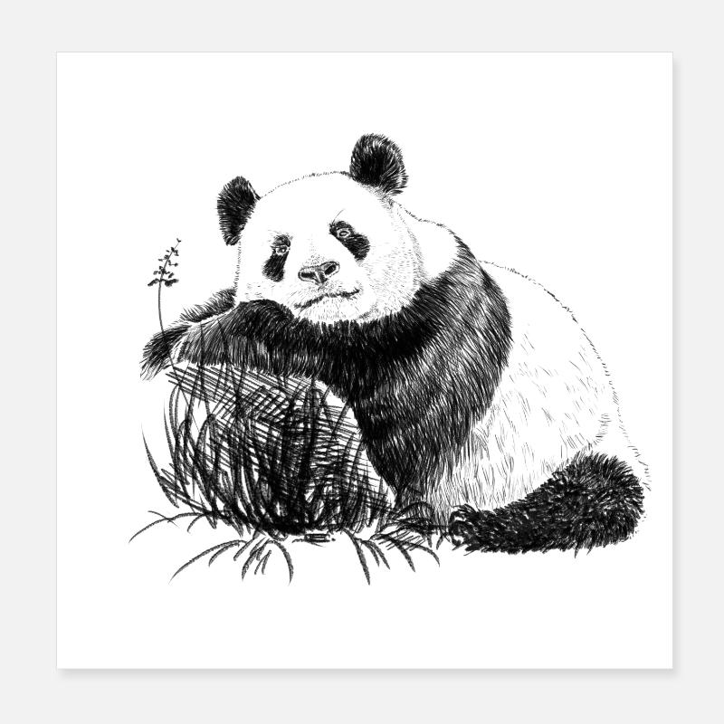 Panda Poster 20 x 20 cm