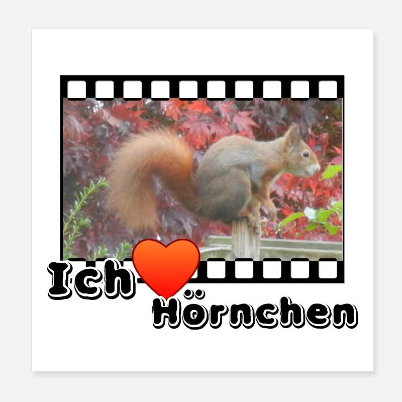 Liebe Tierfreund Eichhoernchen Tiere Spruch - Poster 20x20 cm - Weiß