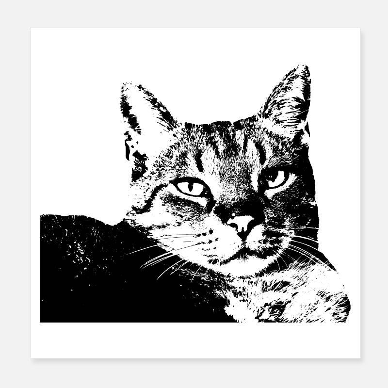 Chat Chat Chat Chat Chemise Cadeau Poster 20 x 20 cm