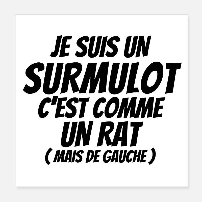 surmulot, mulot, rat, rongeur Poster 20 x 20 cm
