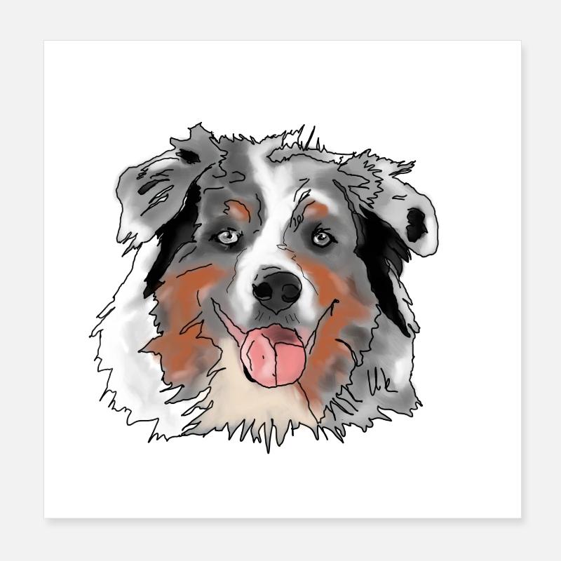 Australian Shepherd - Poster 8" x 8" (20x20 cm) - white