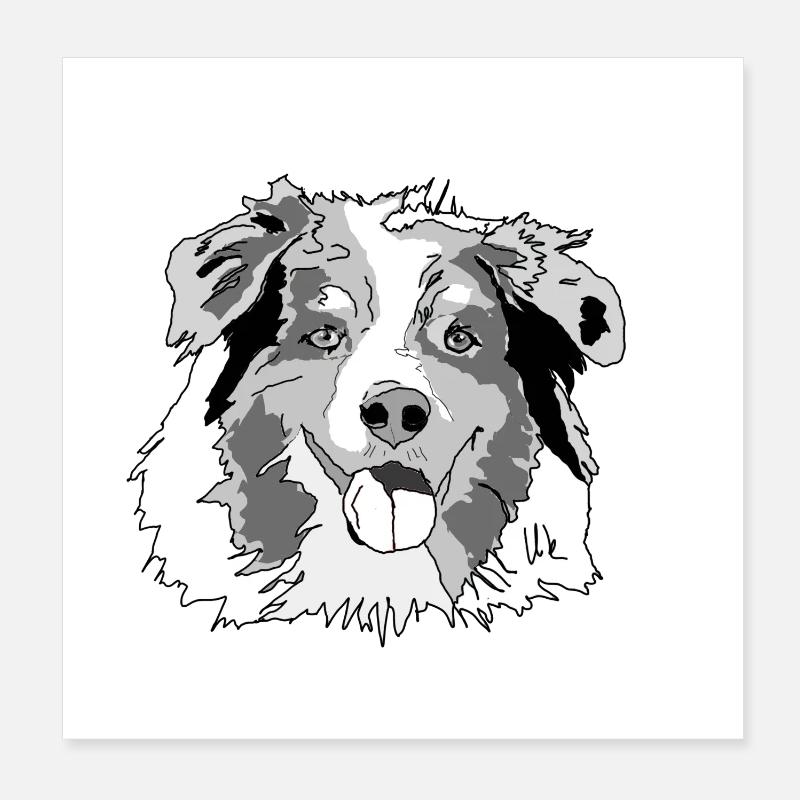 Australian Shepherd Poster 20x20 cm