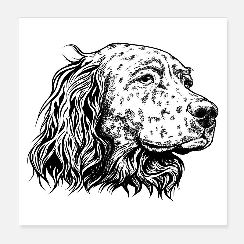 Portrait de setter anglais s Poster 20 x 20 cm