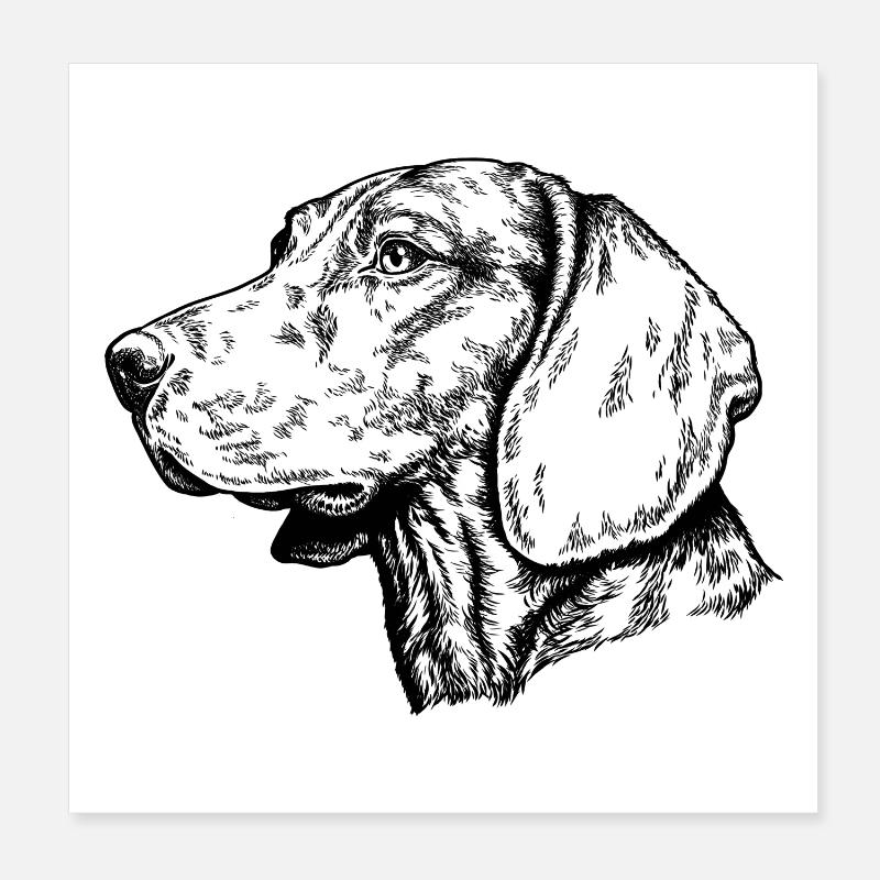 Scenthound Portrait Poster 8" x 8" (20x20 cm)