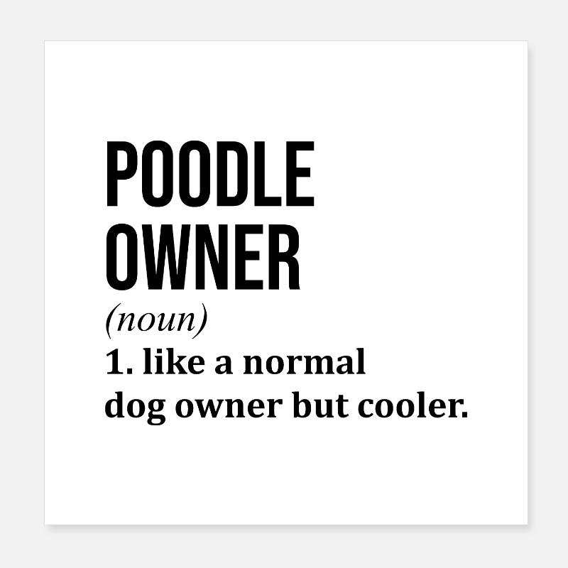 Pudel Poster 20x20 cm
