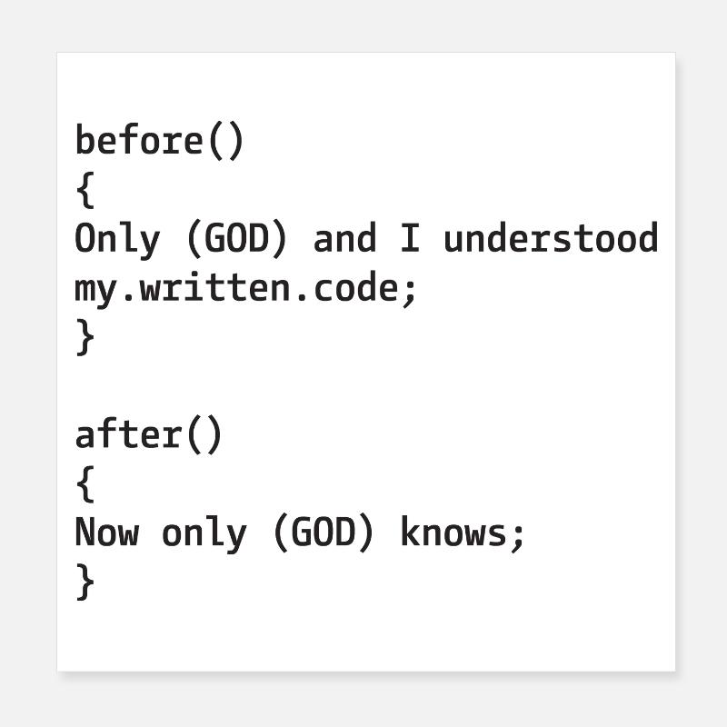 Entwickler Witz Poster 20x20 cm