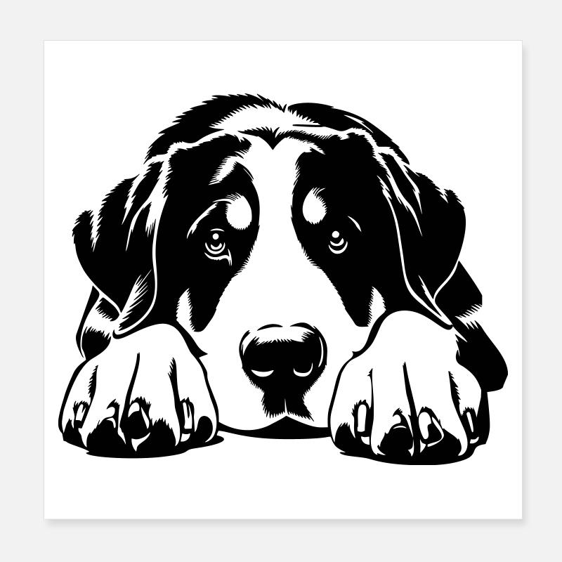 Bouvier suisse Poster 20 x 20 cm