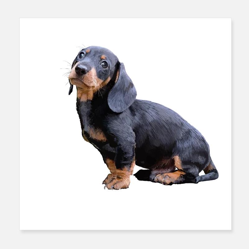 Dackel Poster 20x20 cm