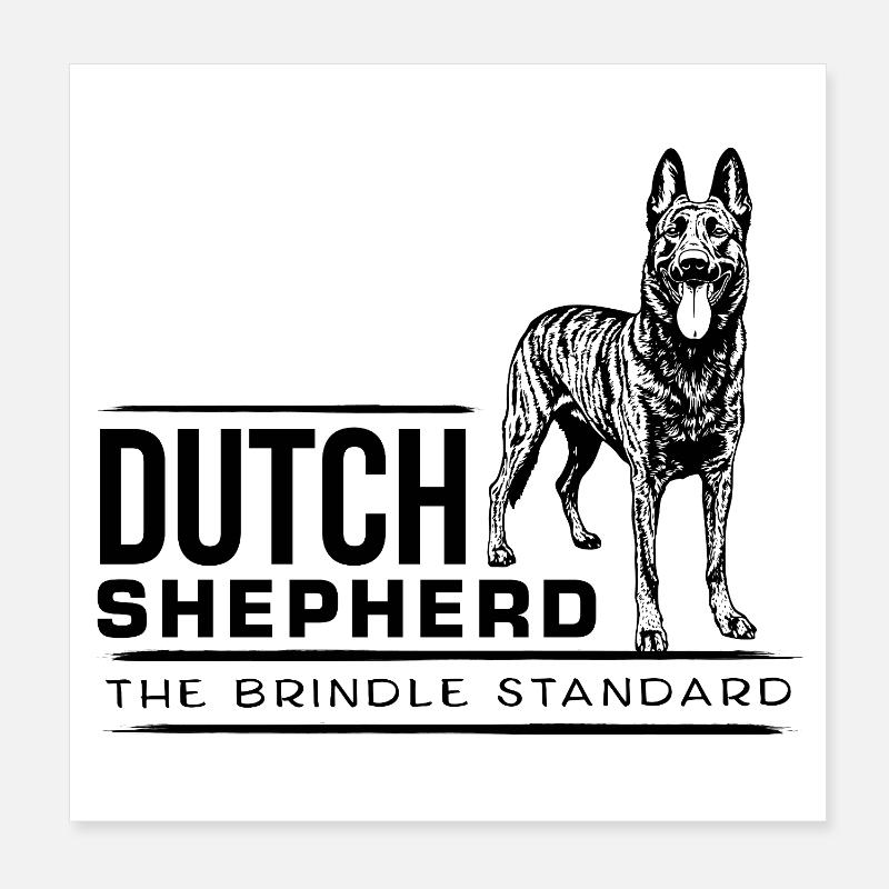 Dutch Shepherd – Dutchie Poster 20x20 cm