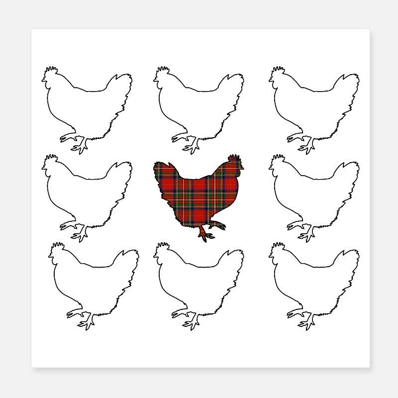 Schottisches Huhn folgt nicht der Herde - Poster 20x20 cm - Weiß