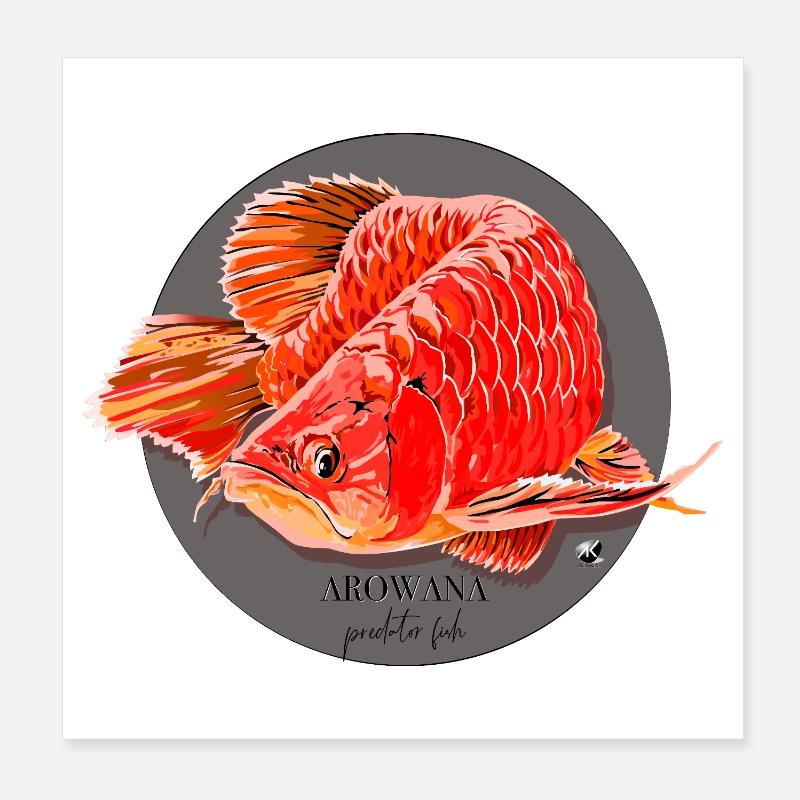 Arowana fish illustration in a gray circle Poster 8" x 8" (20x20 cm)