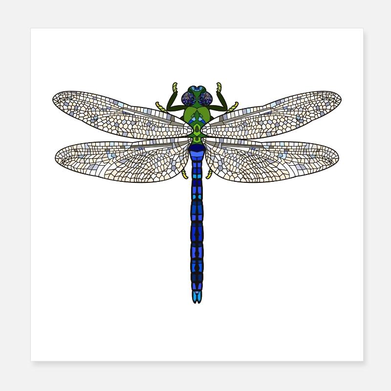 Libellule royale Poster 20 x 20 cm