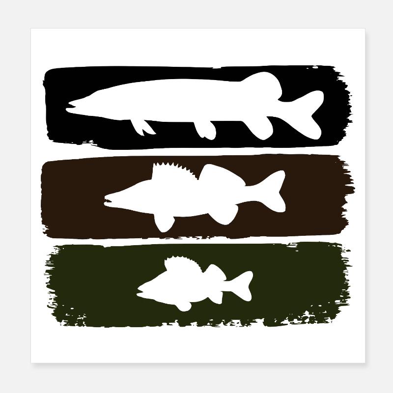 Pike Zander Perch Poster 8" x 8" (20x20 cm)