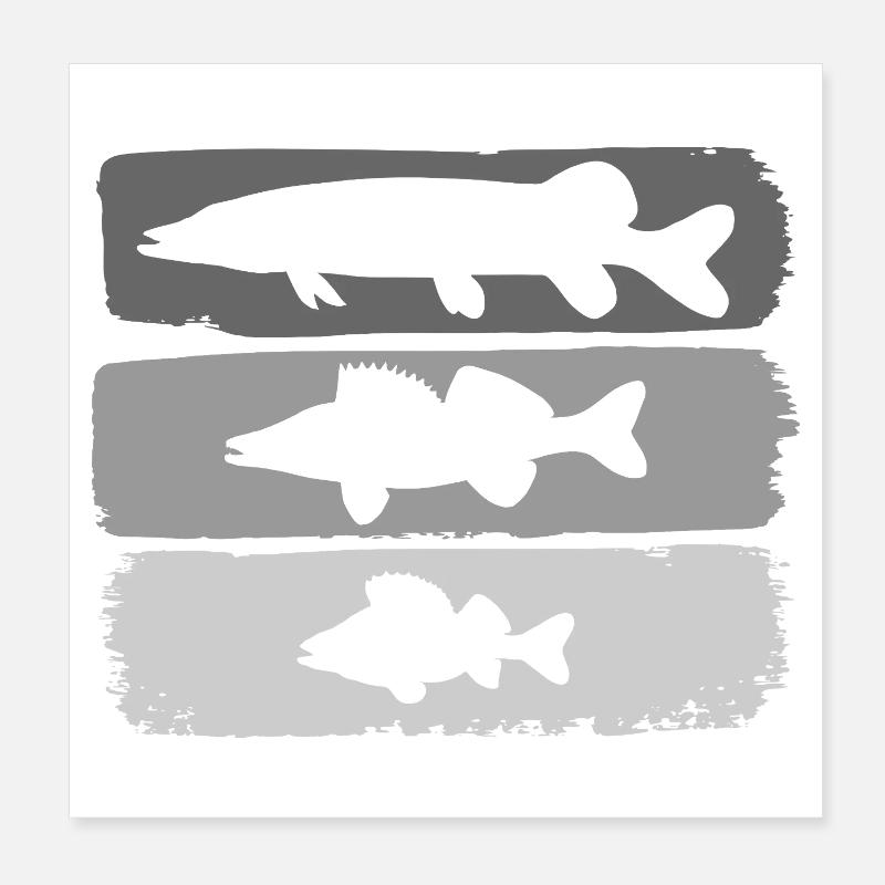 Perche à brochet-zard Poster 20 x 20 cm