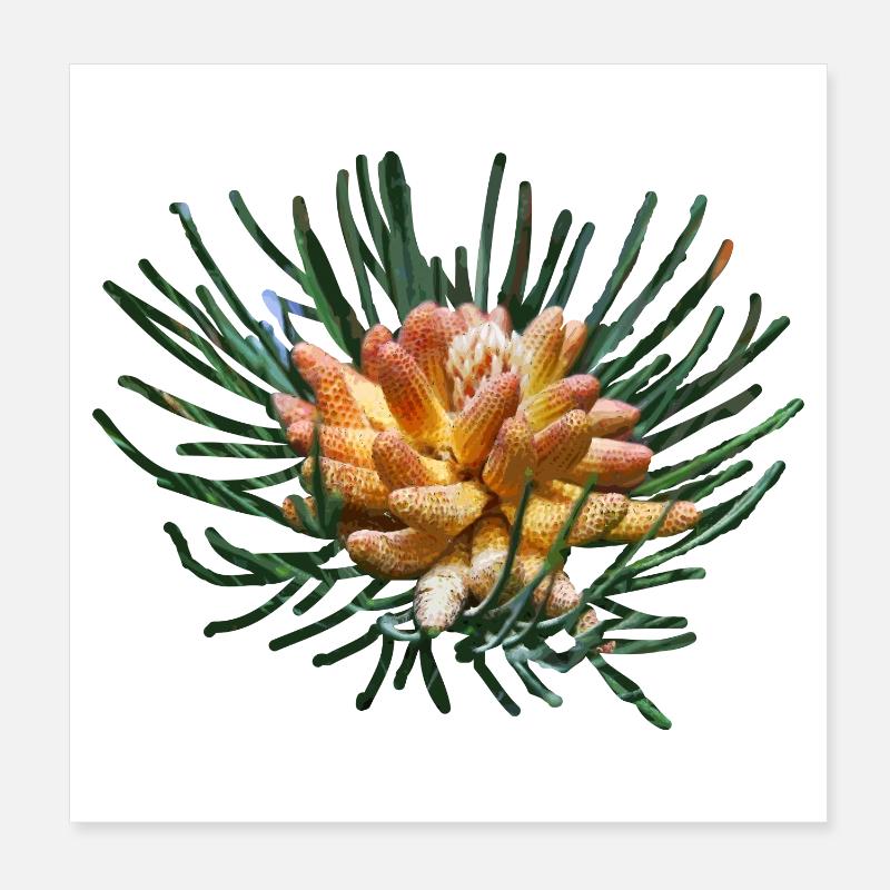 Branches de sapin créatives Poster 20 x 20 cm