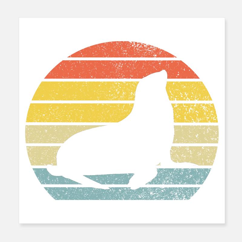 Seehund Seelöwe - Poster 20x20 cm - Weiß