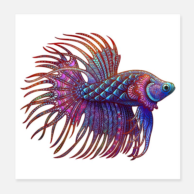 Couleur Betta Zentangle Poster 20 x 20 cm