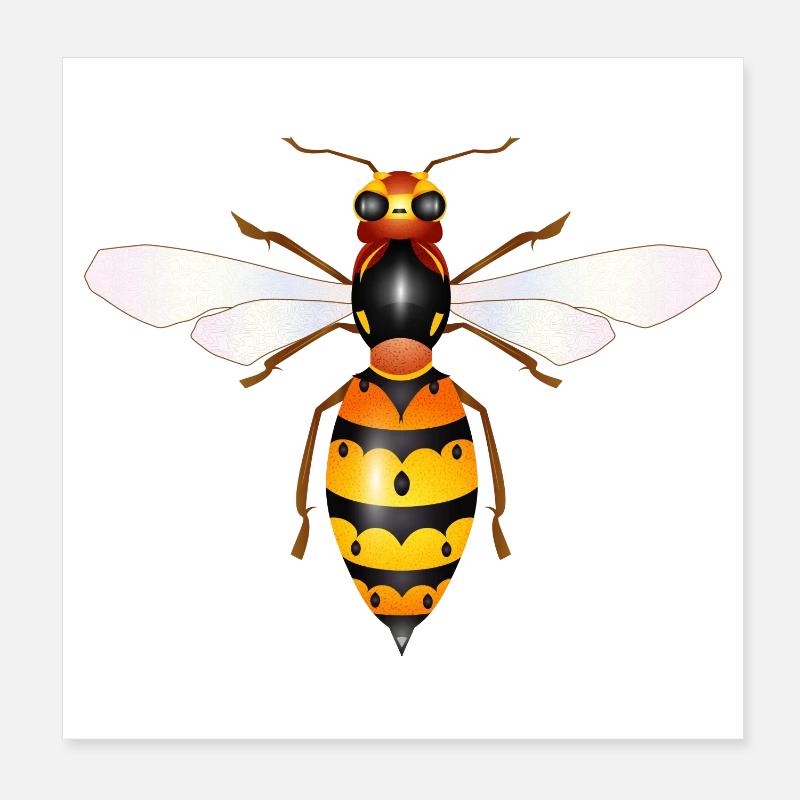 Dessin d’un frelon fascinant Poster 20 x 20 cm