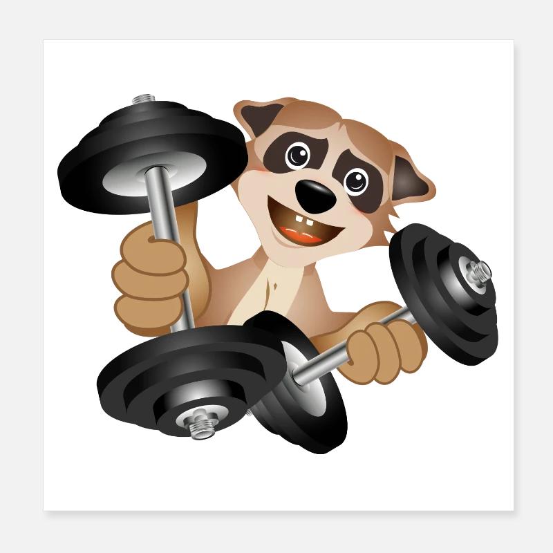 Bodybuilder meerkat with dumbbells while exercising Poster 8" x 8" (20x20 cm)