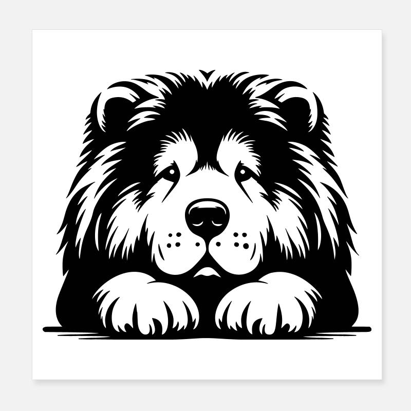 Chow Chow Kopf mit Pfoten Poster 20x20 cm