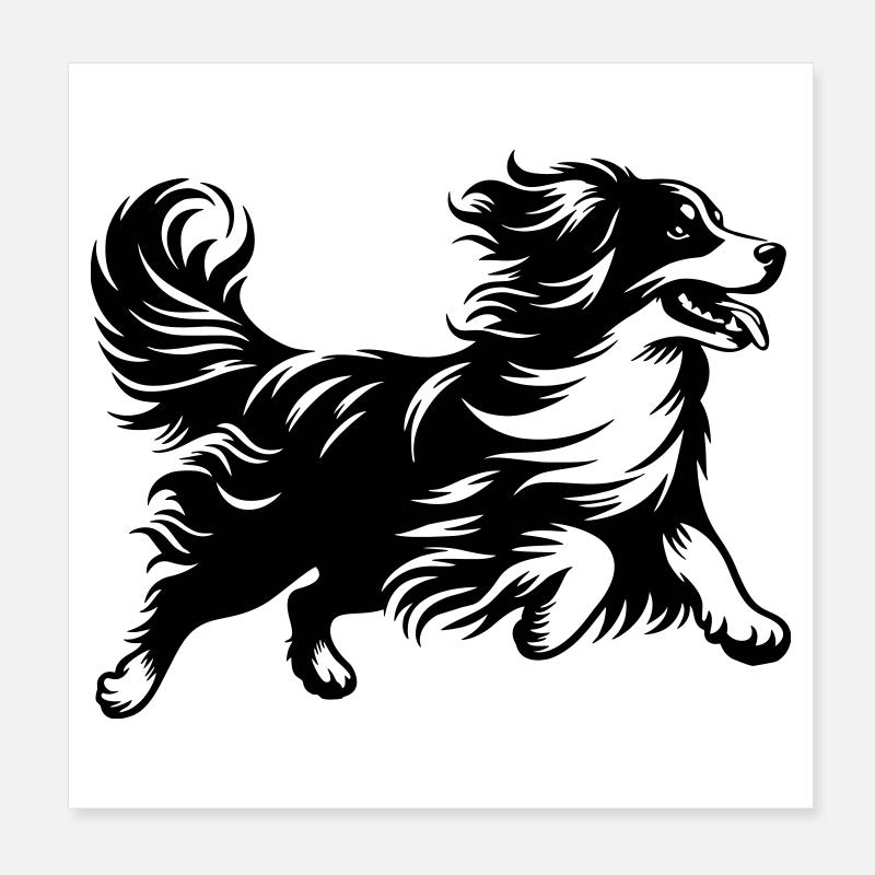 Kooikerhondje Poster 8" x 8" (20x20 cm)