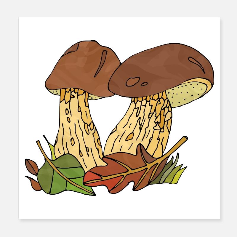 Pilze Poster 20x20 cm